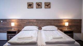 Отель Hotel Floare de Colt Мэнэстиря-Гуморулуй Двухместный номер с 2 отдельными кроватями-22